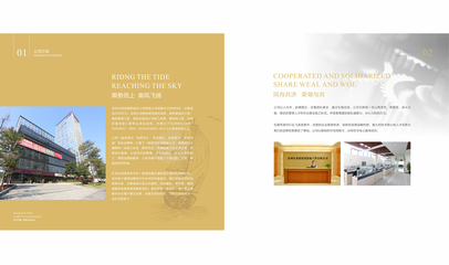 企業(yè)畫(huà)冊(cè)，企業(yè)形象的文藝基石